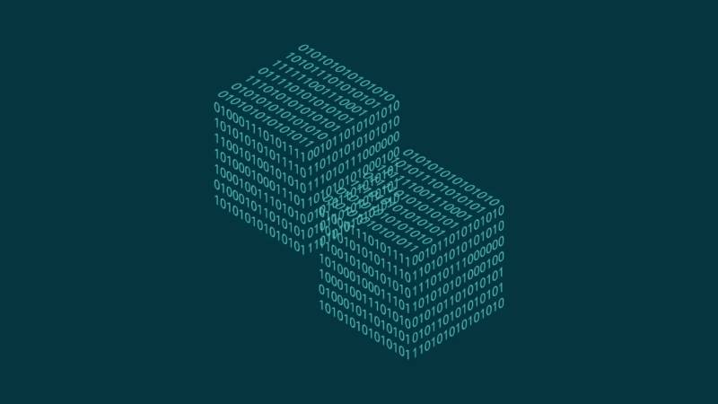 友好区信创改造：网络应用开发流程标准化的核心路径与实践
